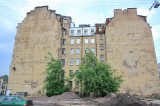  - Петроградский район.  Эти деревья снесли летом 2010 года.