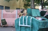 Санкт-Петербург - Бездомная кормящая щенков собачка, добывает себе пропитание ...