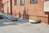 Санкт-Петербург - Петроградский район. Вазоны с чахлыми цветами.