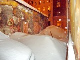 Санкт-Петербург - Зима на Петроградской стороне.