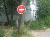 Тверь - Теперь экономят на столбах: знаки вешают прямо на деревья! 1-й проезд Карпинского.