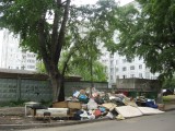 Тверь - И чего можно только нет на нашей богатой тверской помойки на Комсомольском проспекте рядом с домом № 15/44.