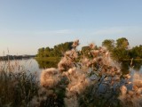 Тверь - Летняя красота вдоль великой Русской реки Волги