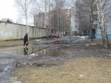 Ярославль - Весна, подснежники