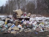 Воскресенск - И снова мусор!!!