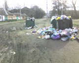 Николаев - Опять свалка.