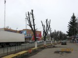 Мерефа - Разруха по заказу. освобождение Мерефы от деревьев