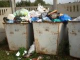 Тарутино - наши мусорные контейнеры.......вечно полны и смердят