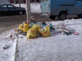 Курск - зимний мусор