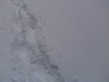 Курск - Снег от снегопада