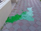 Курск - Краску разлили на тротуаре