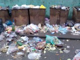 Курск - Помойка возле школы 3, возвращение мусора