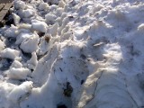 Курск - Первый снег 2013