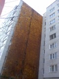 Курск - Стена дома на Павлуновского