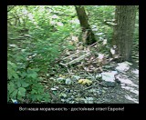 Курск - Мусор на лесной дороге