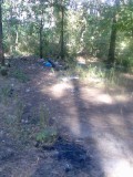 Курск - В лесу возле входа