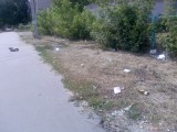 Курск - Мусор у забора