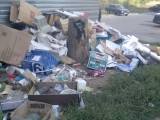Курск - Помойка на Майском бульваре