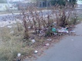 Курск - Мусор возле садика
