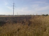 Курск - Последствия степного пожара 1