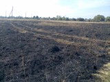 Курск - Последствия степного пожара 4