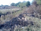 Курск - Последствия степного пожара 6
