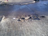 Курск - Разрушение тротуарной плитки