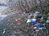 Курск - Мусор на склоне на Марата