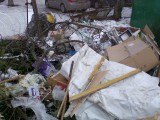 Курск - Куча мусора на помойке