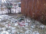 Курск - Мусор в укромных местах