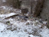 Курск - Мусор на заброшенном пустыре