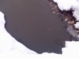 Курск - Яма с канализационной водой