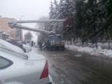 Курск - Очистка деревьев от снега
