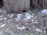 Курск - Мусор в гаражах