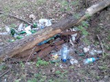 Курск - Яма с мусором