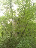 Курск - Башня в лесу