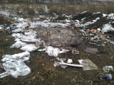 Курск - Здесь мусор вывезли