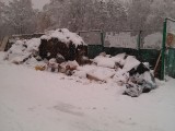 Курск - Зима на помойке