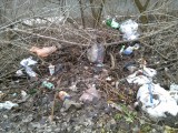 Курск - Мусор на берегу