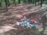 Курск - Кучка мусора в лесу
