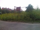 Курск - Заросла баскетбольная площадка