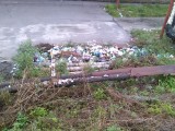 Курск - Яма для мусора