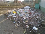 Курск - Ровный слой мусора