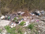 В овраг мусор Курск - В овраг мусор