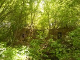 Курск - Развал в лесу