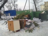 Курск - Помойка с ёлками