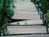 Курск - Ловушка на лестнице