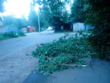 Курск - Ветки навалились