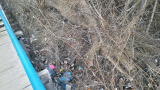 Курск - Весна и мусор