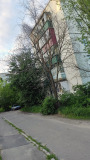 Курск - Высохшее дерево